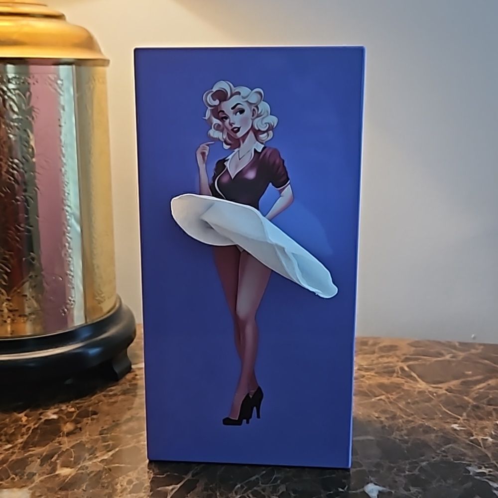 NWOT Tissue box with retro lady